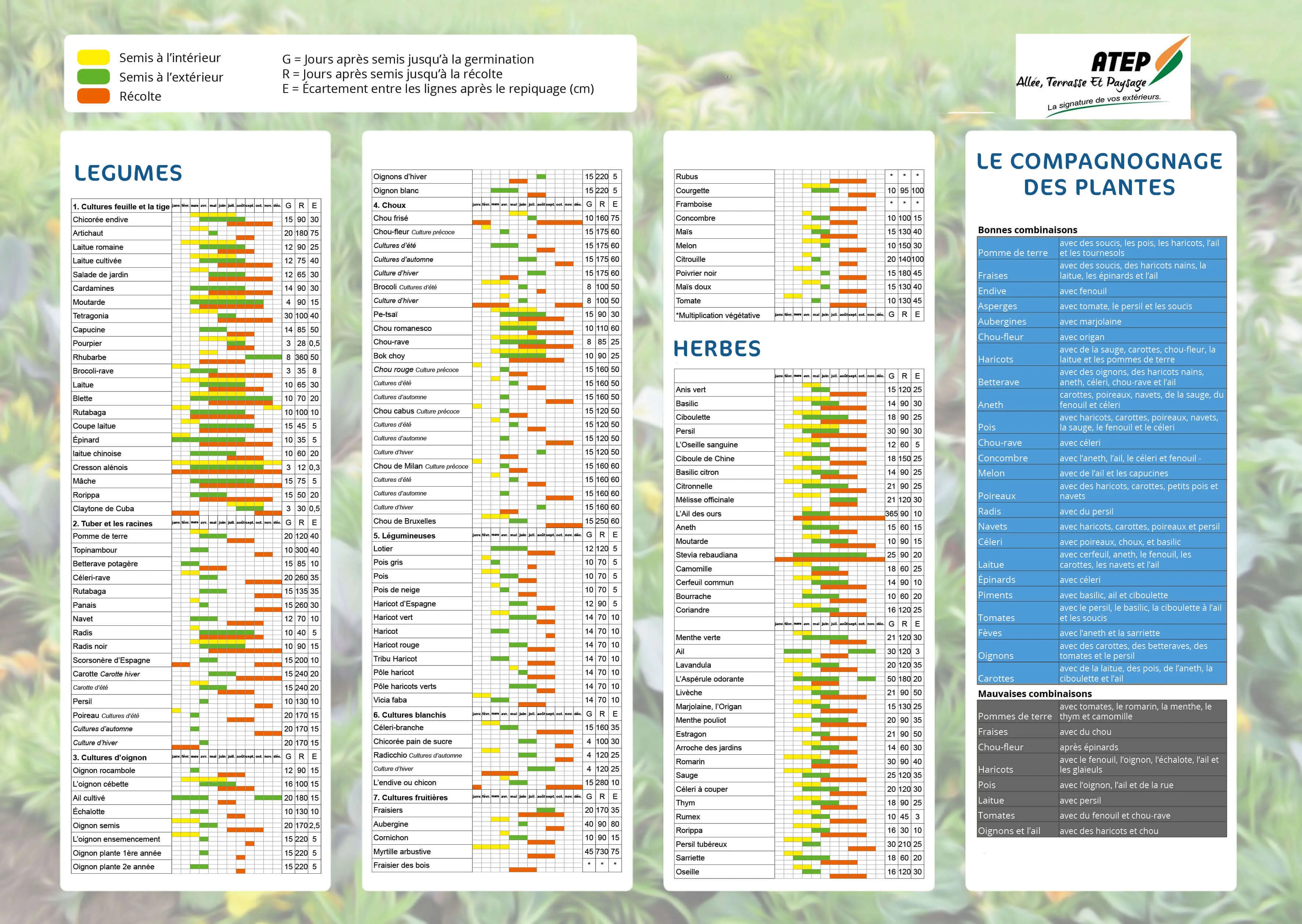 Calendrier Semis Potager(1)