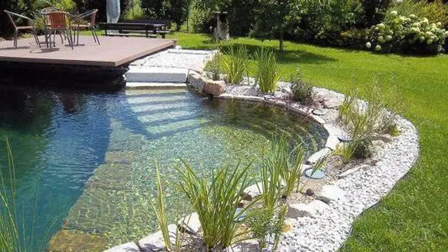Piscine Naturelle Biologique