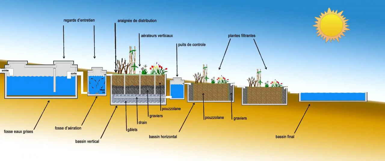 Piscine Phyto Epuration Jpg