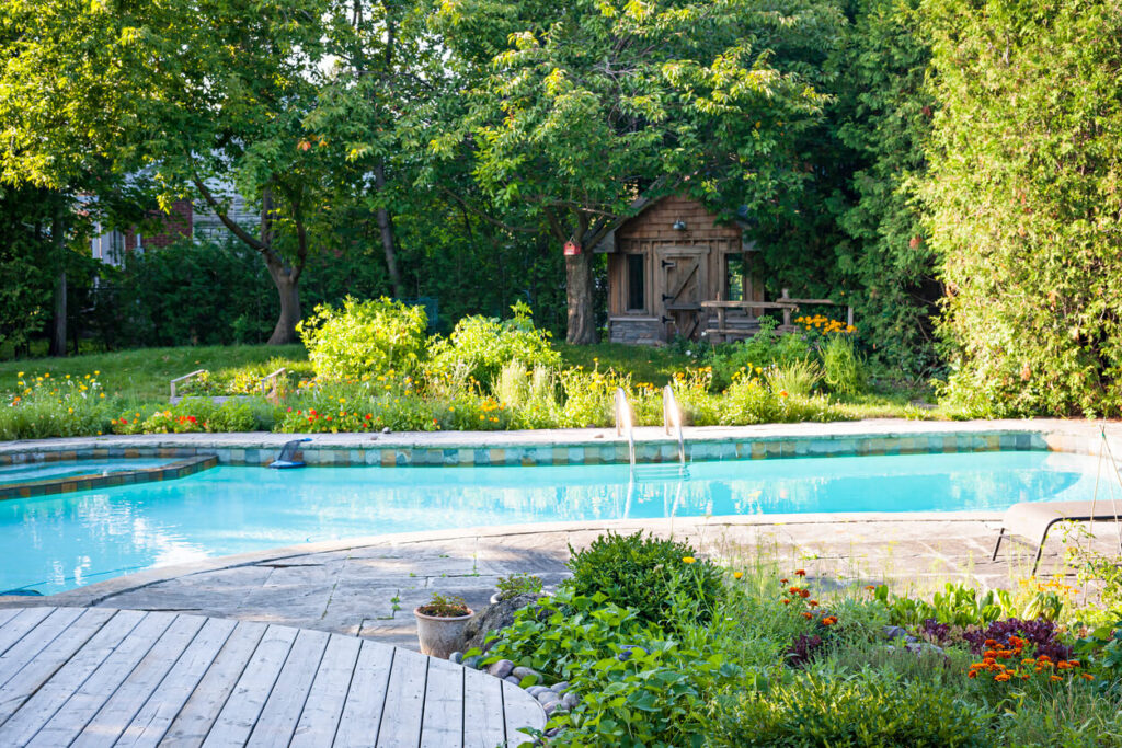 Piscine Biologique